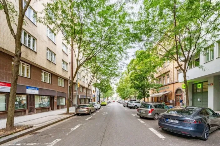 Pronájem bytu 1+kk, Praha - Karlín, Křižíkova, 36 m2