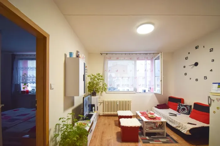 Prodej bytu 1+1, Plzeň - Bolevec, Sokolovská, 36 m2