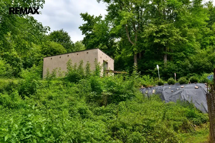 Prodej pozemku pro bydlení, Zlatá Olešnice, 875 m2