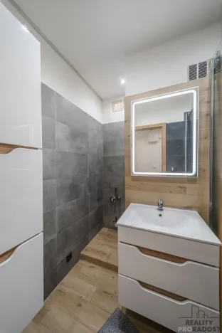 Pronájem bytu 2+kk, Ostrava - Hrabůvka, U Haldy, 38 m2