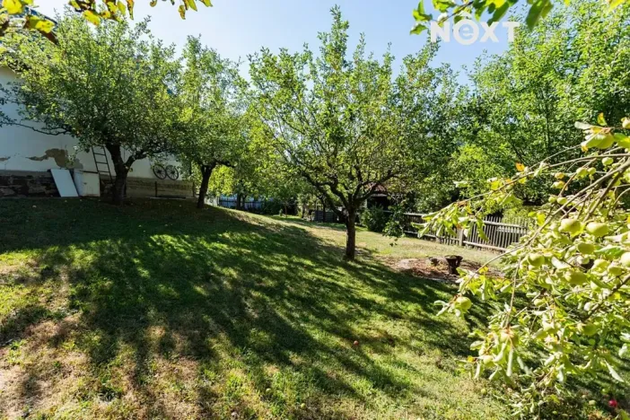 Prodej chalupy, Odry, 170 m2
