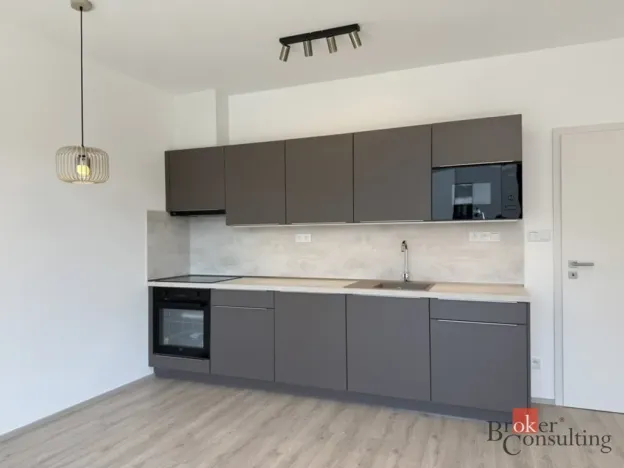 Pronájem bytu 1+kk, Plzeň - Jižní Předměstí, Železná, 42 m2
