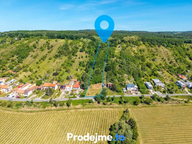 Prodej pozemku pro bydlení, Viničné Šumice, 7165 m2
