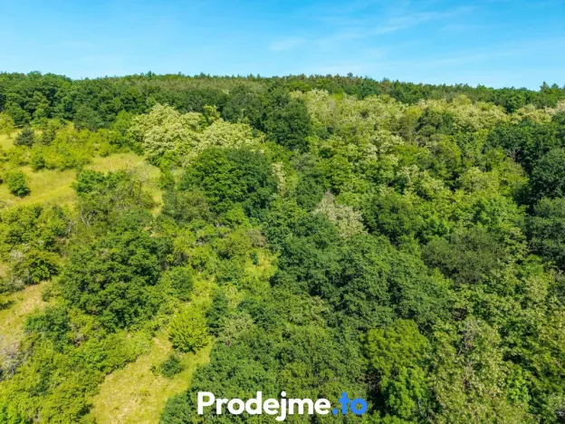 Prodej pozemku pro bydlení, Viničné Šumice, 7165 m2