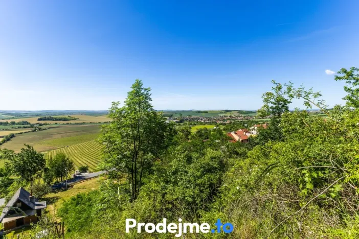 Prodej pozemku pro bydlení, Viničné Šumice, 7165 m2