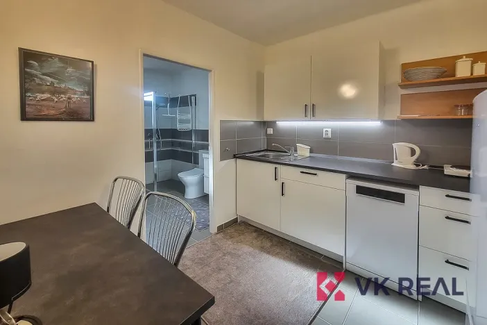 Pronájem bytu 1+1, Praha - Střešovice, Nad octárnou, 40 m2