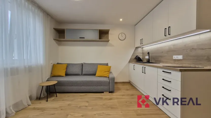 Pronájem bytu 1+kk, Plzeň - Jižní Předměstí, Raisova, 27 m2
