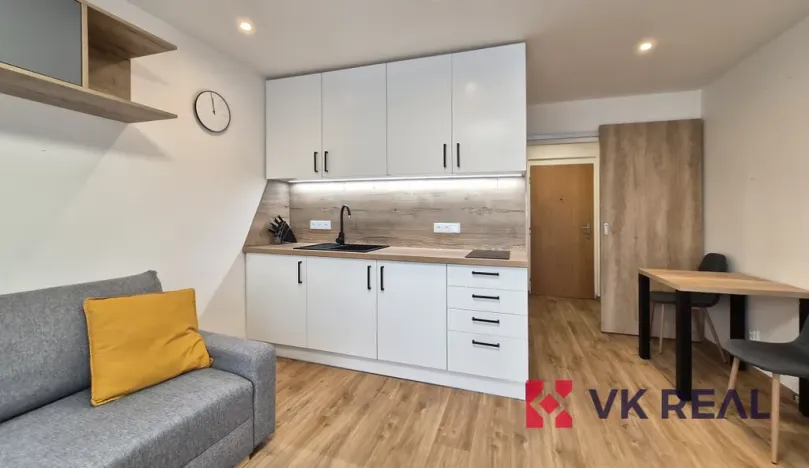 Pronájem bytu 1+kk, Plzeň - Jižní Předměstí, Raisova, 27 m2