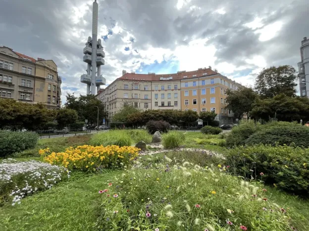 Pronájem bytu 2+1, Praha - Žižkov, Blodkova, 63 m2