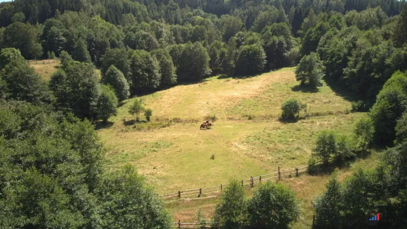 Prodej pozemku pro bydlení, Olešnice v Orlických horách, 3446 m2