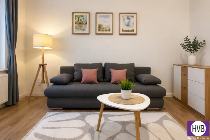 Prodej bytu 2+kk, Praha, Petrská, 42 m2