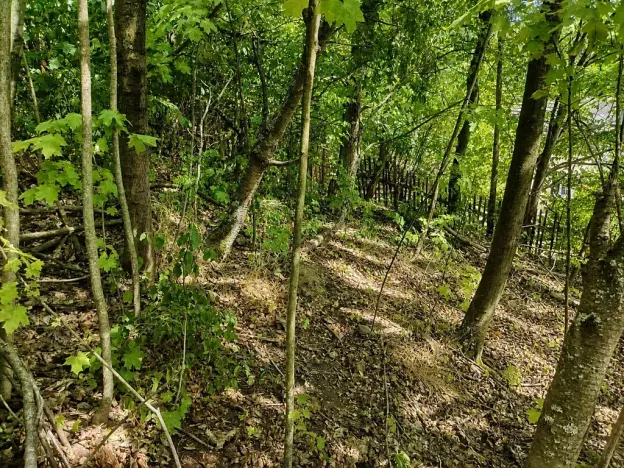 Prodej pozemku pro bydlení, Lom, Tyršova stezka, 888 m2