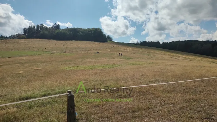 Prodej pozemku, Hořice na Šumavě - Mýto, 2722 m2
