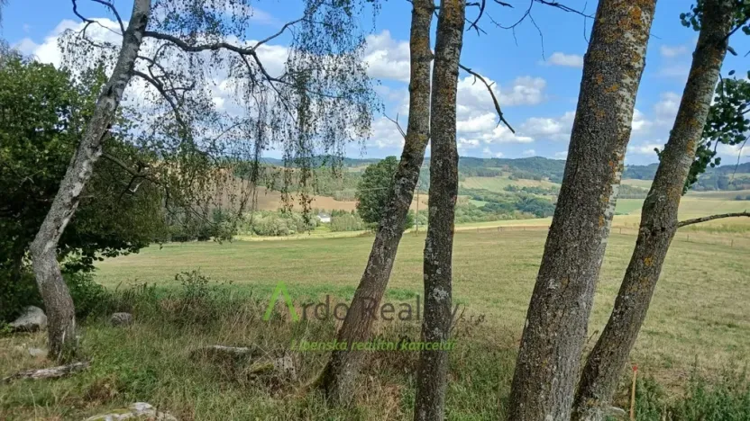 Prodej pozemku, Hořice na Šumavě - Mýto, 2722 m2