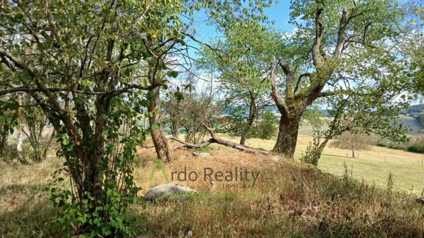 Prodej pozemku, Hořice na Šumavě - Mýto, 2722 m2