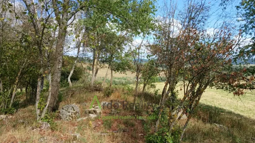 Prodej pozemku, Hořice na Šumavě - Mýto, 2722 m2