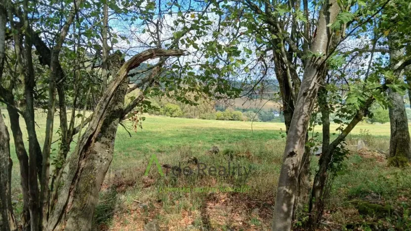 Prodej pozemku, Hořice na Šumavě - Mýto, 2722 m2