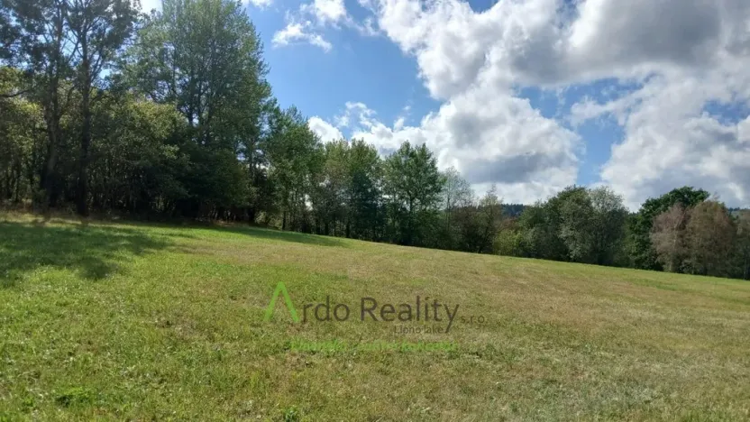 Prodej pozemku, Hořice na Šumavě - Mýto, 2722 m2