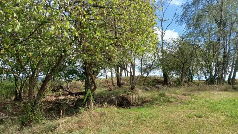 Prodej pozemku, Hořice na Šumavě - Mýto, 2722 m2