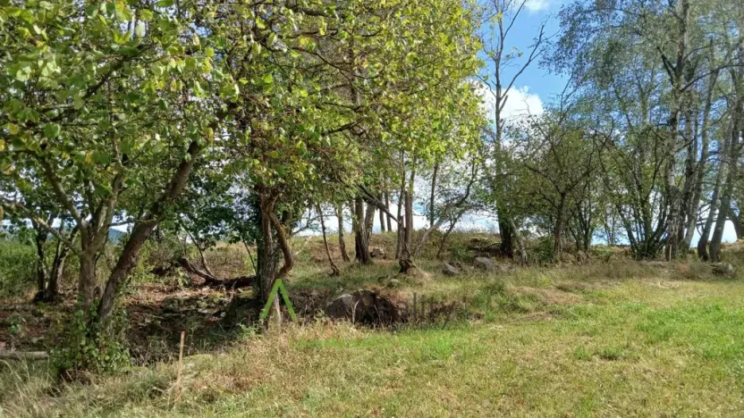 Prodej pozemku, Hořice na Šumavě - Mýto, 2722 m2