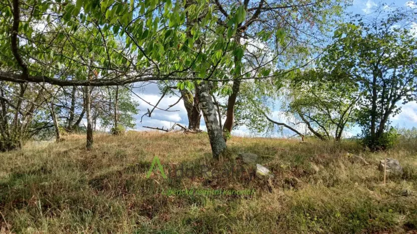 Prodej pozemku, Hořice na Šumavě - Mýto, 2722 m2