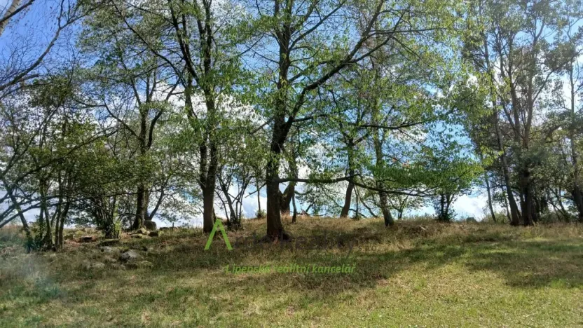 Prodej pozemku, Hořice na Šumavě - Mýto, 2722 m2