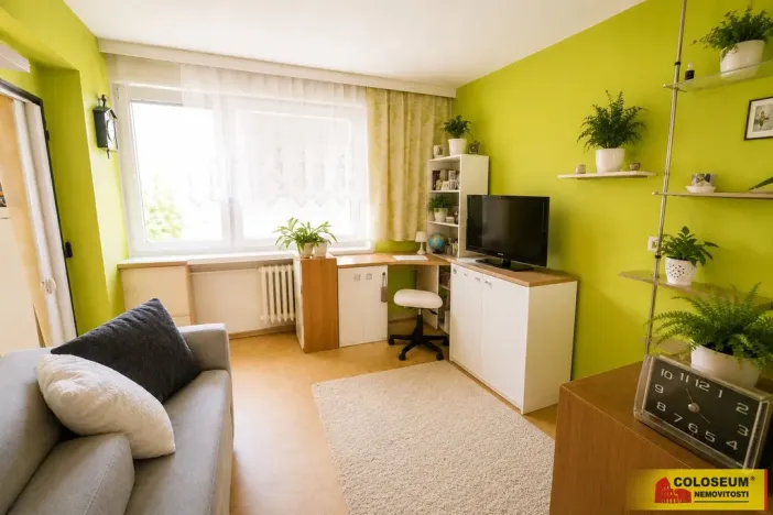 Prodej bytu 2+1, Třebíč, Řípovská, 44 m2