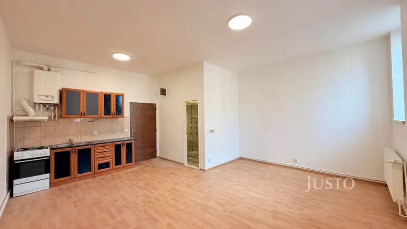 Prodej bytu 1+kk, Liberec - Liberec XXX-Vratislavice nad Nisou, Tanvaldská, 31 m2