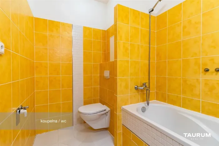 Prodej bytu 2+kk, Plzeň - Východní Předměstí, Květná, 69 m2