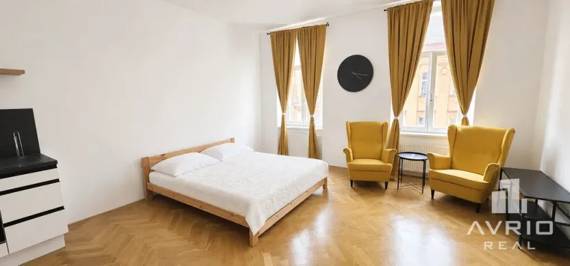 Pronájem bytu 1+kk, Brno, Údolní, 46 m2
