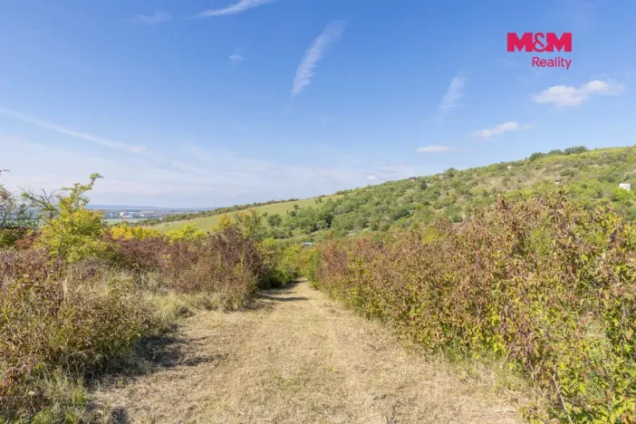 Prodej zahrady, Židlochovice, 3718 m2