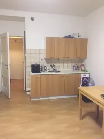 Pronájem bytu 1+kk, Praha - Podolí, Na dolinách, 30 m2