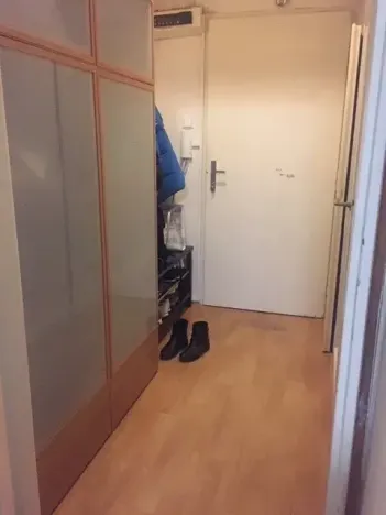 Pronájem bytu 1+kk, Praha - Podolí, Na dolinách, 30 m2