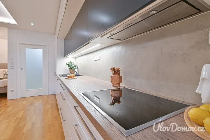 Prodej bytu 1+kk, Praha - Břevnov, Bělohorská, 52 m2