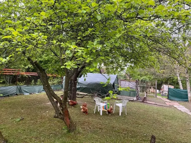 Dražba zahrady, Havířov, 611 m2