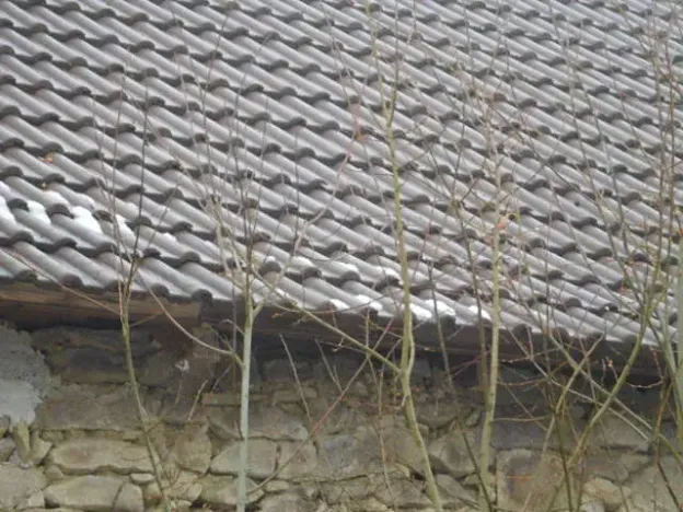 Dražba rodinného domu, Blažejov, 666 m2