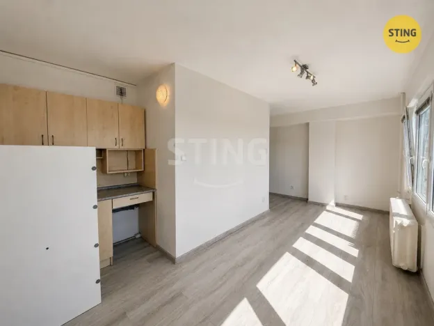 Pronájem bytu 1+kk, Frýdek-Místek, Janáčkova, 21 m2