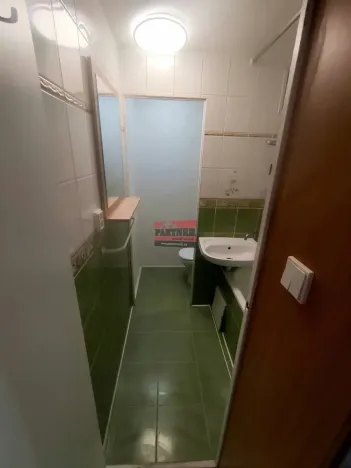Pronájem bytu 1+1, České Budějovice, Mánesova, 37 m2