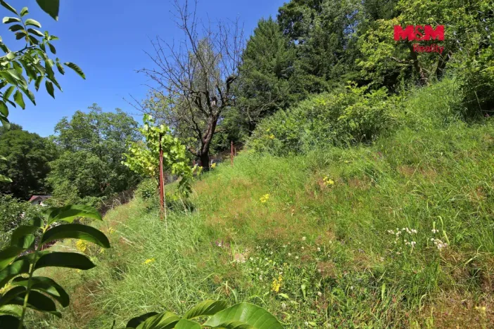 Pronájem chaty, Jenišovice, 77 m2