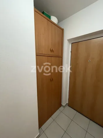 Pronájem bytu 1+kk, Zlín, Plesníkova, 32 m2