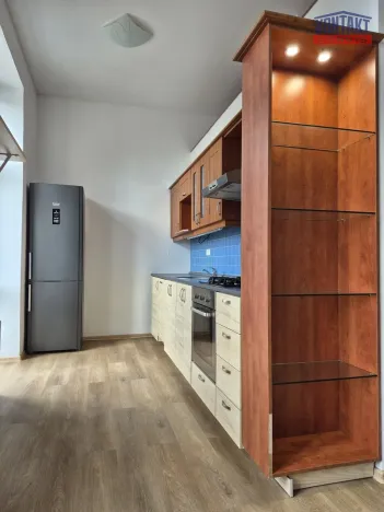 Pronájem bytu 1+kk, České Budějovice - České Budějovice 7, 46 m2