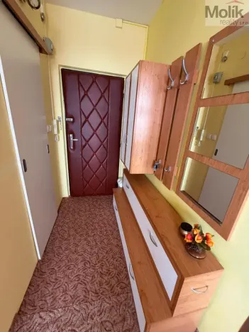 Prodej bytu 1+1, Chomutov, Jirkovská, 36 m2