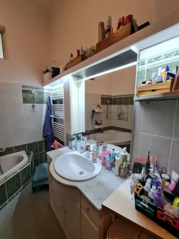 Prodej bytu 3+1, Opava - Předměstí, Joy Adamsonové, 118 m2