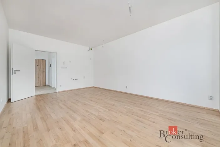 Prodej bytu 1+kk, Plzeň - Jižní Předměstí, Železná, 37 m2