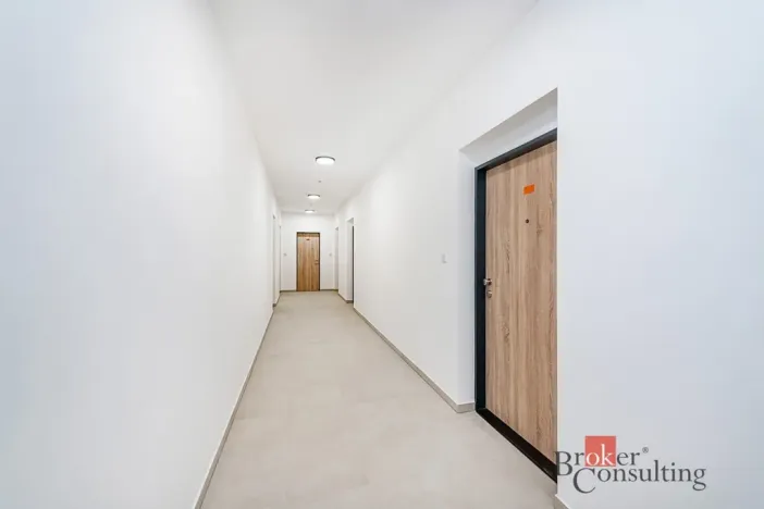 Prodej bytu 1+kk, Plzeň - Jižní Předměstí, Železná, 37 m2