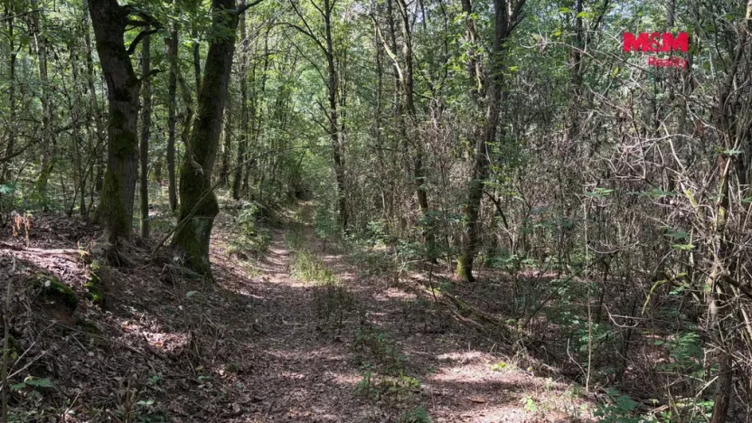 Prodej pole, Úštěk, 8460 m2