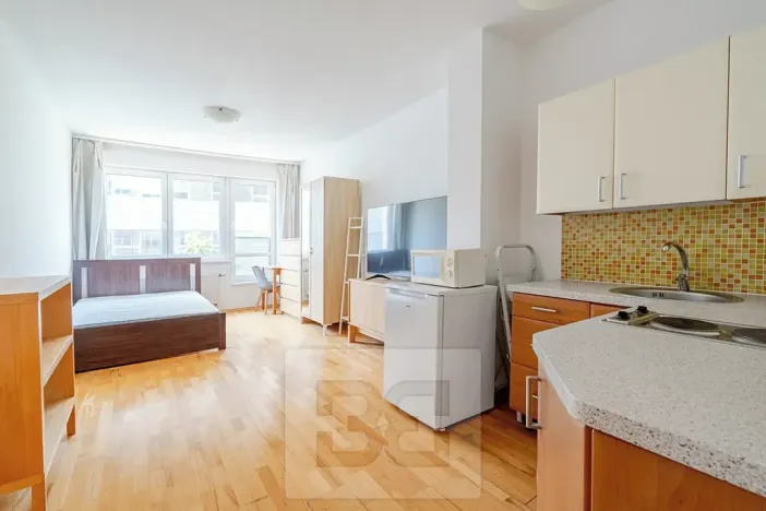 Pronájem bytu 1+kk, Praha - Michle, Jemnická, 30 m2