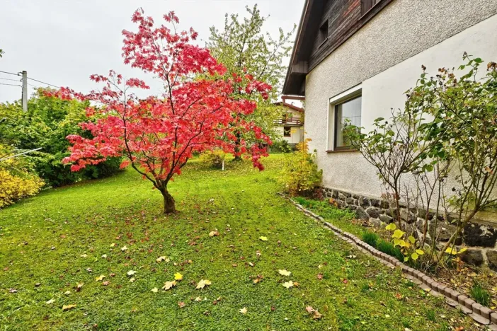 Prodej rodinného domu, Horní Branná - Valteřice, 203 m2