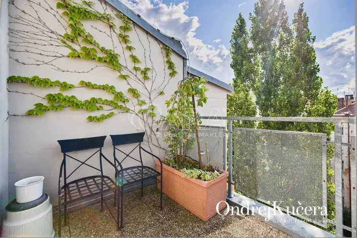 Prodej bytu 3+kk, Praha - Nové Město, Lublaňská, 122 m2