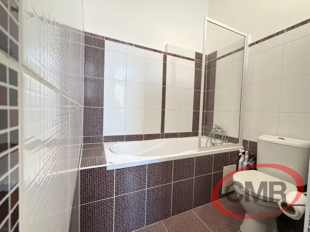 Pronájem bytu 1+1, Praha, Masná, 44 m2